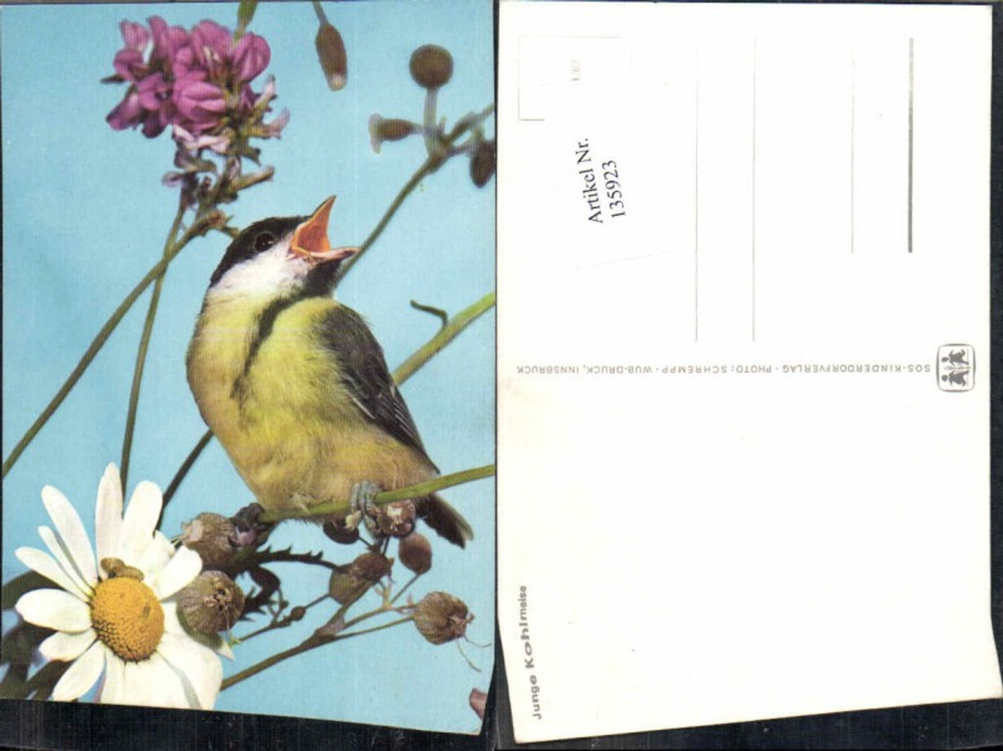 135923,SOS Kinderdorf O 1/67 Junge Kohlmeise