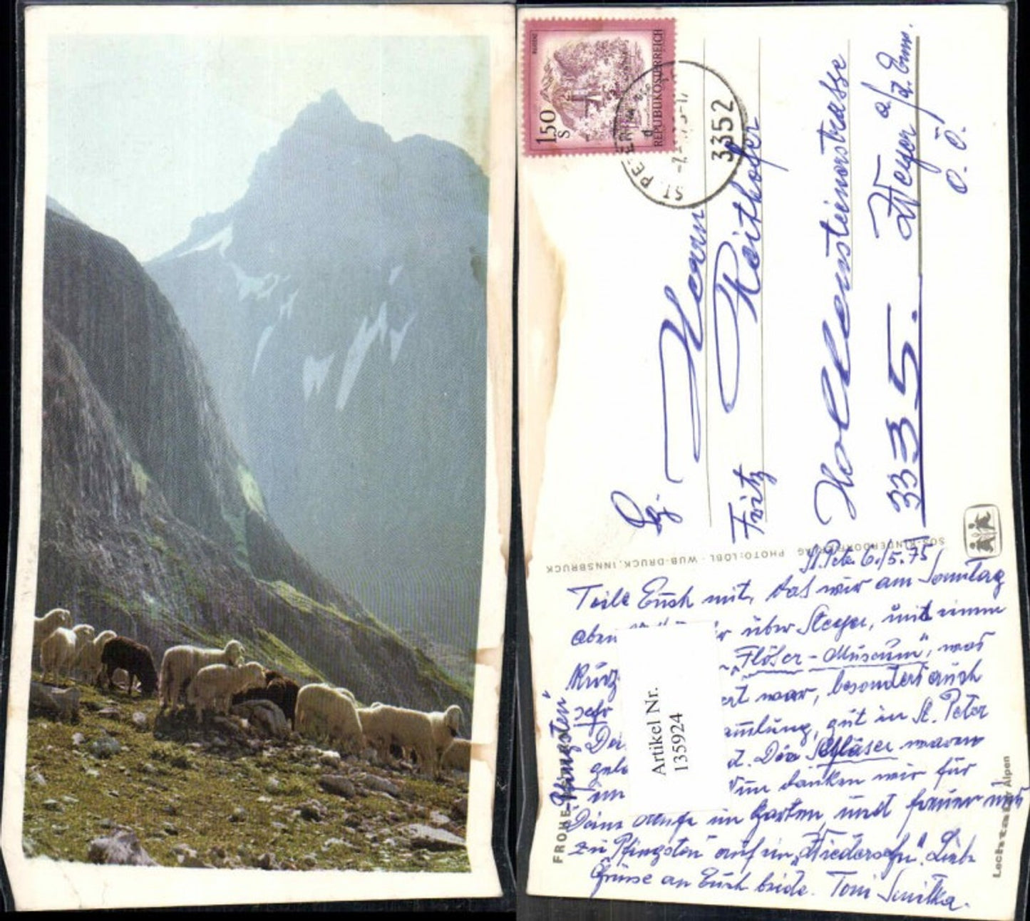 135924,SOS Kinderdorf Schafe Lechtaler Alpen