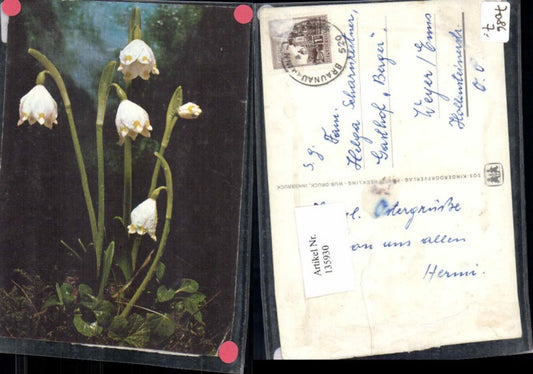 135930,SOS Kinderdorf Blumen