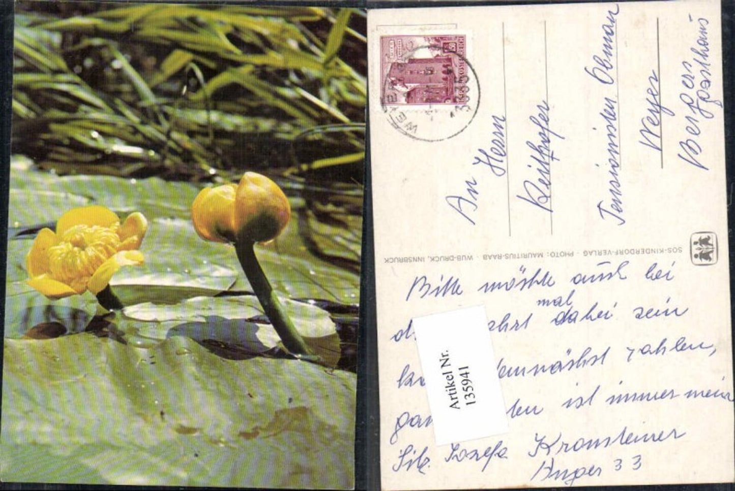 135941,SOS Kinderdorf Blumen Seerosen