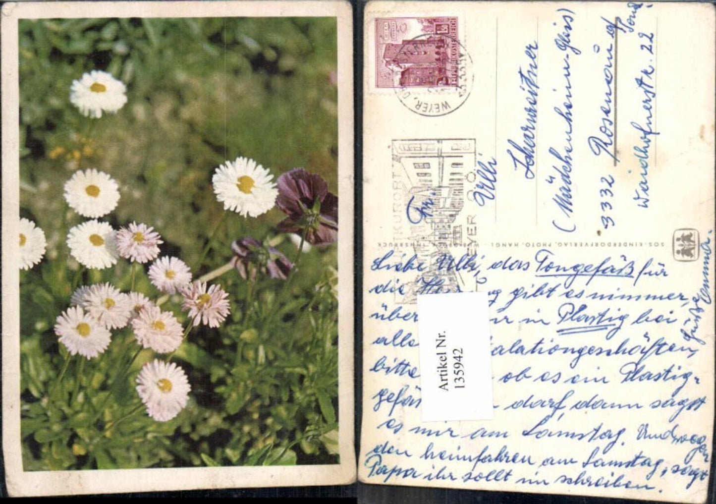 135942,SOS Kinderdorf Blumen