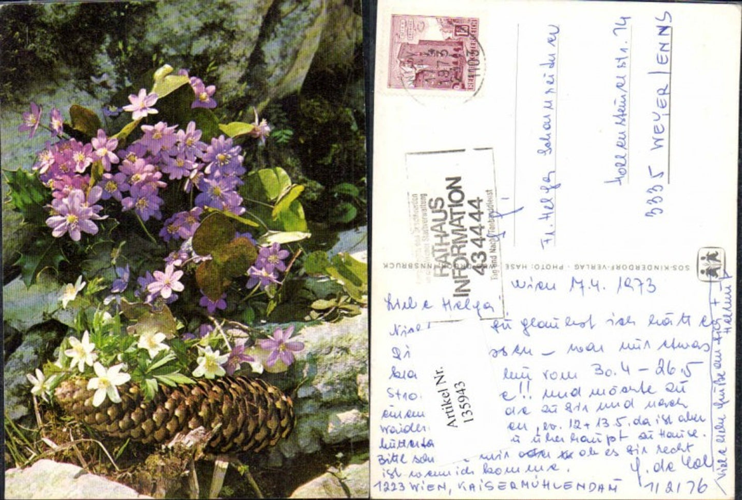 135943,SOS Kinderdorf Zapfen Blumen