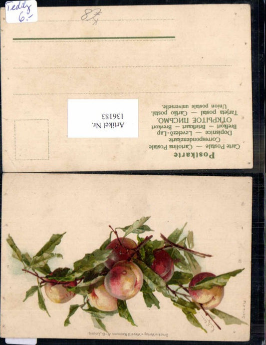136183,Catharina Klein Früchte Obst Pfirsiche pub Wezel & Naumann
