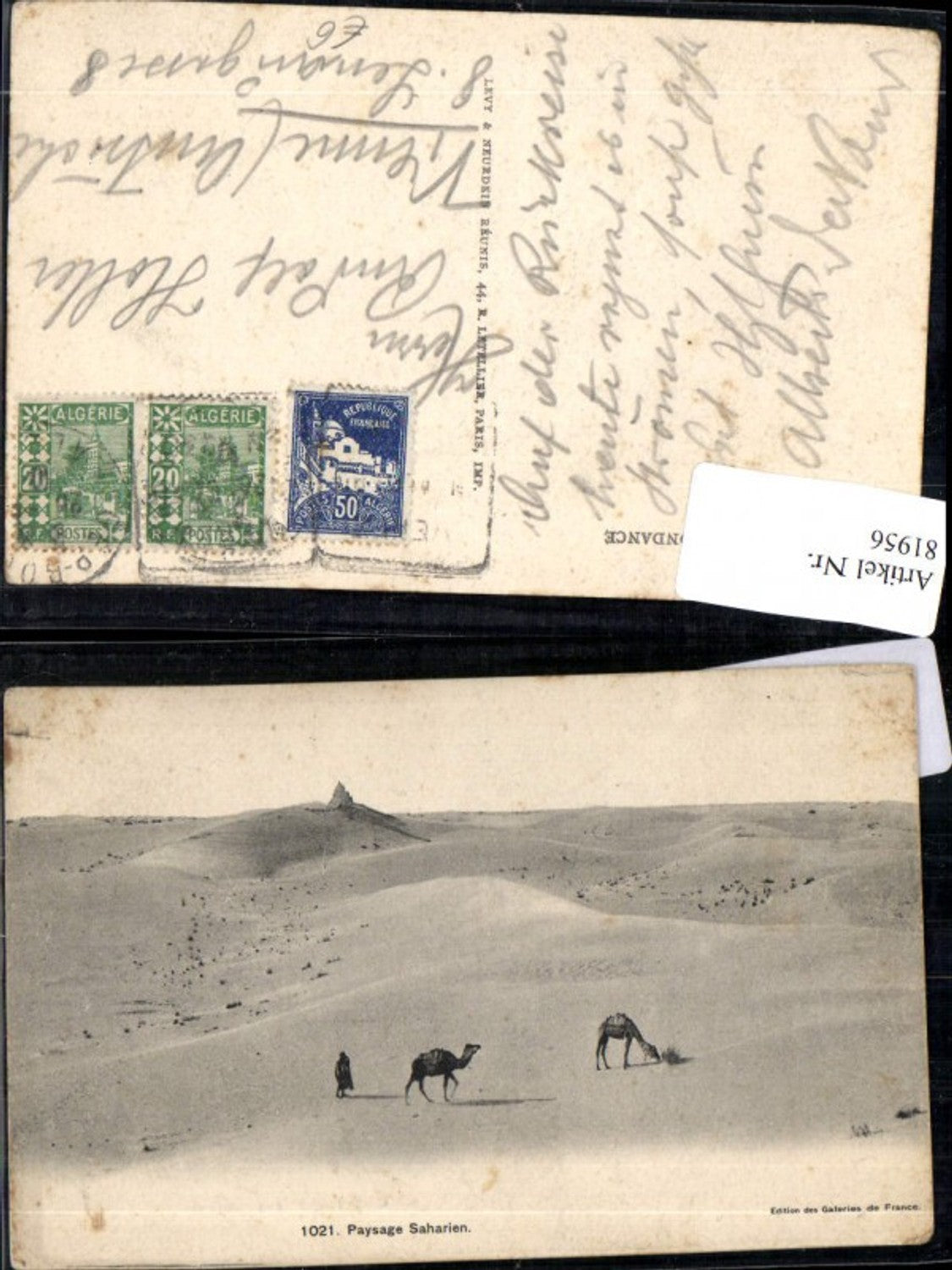 81956, Saharan Sahara Camels