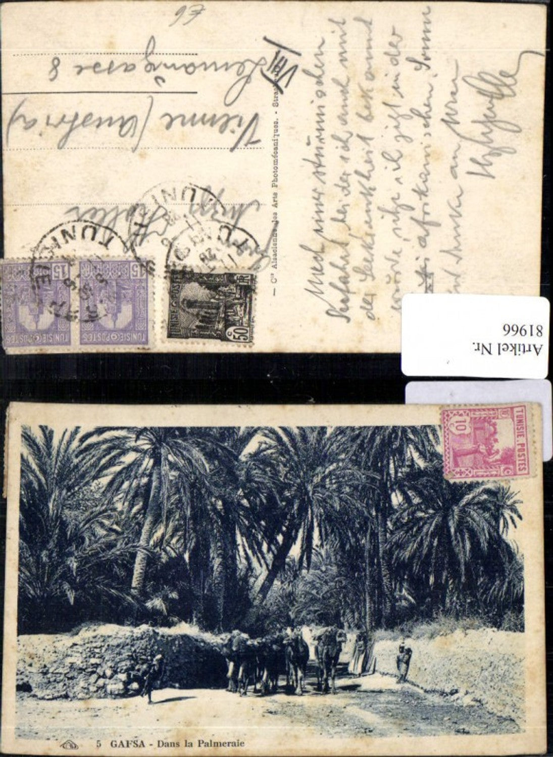81966,Gafsa Tunesien Dans la Palmeraie