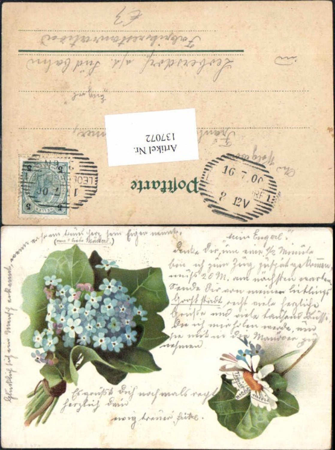 137072,Litho Blumen Gänseblümchen Vergissmeinnicht