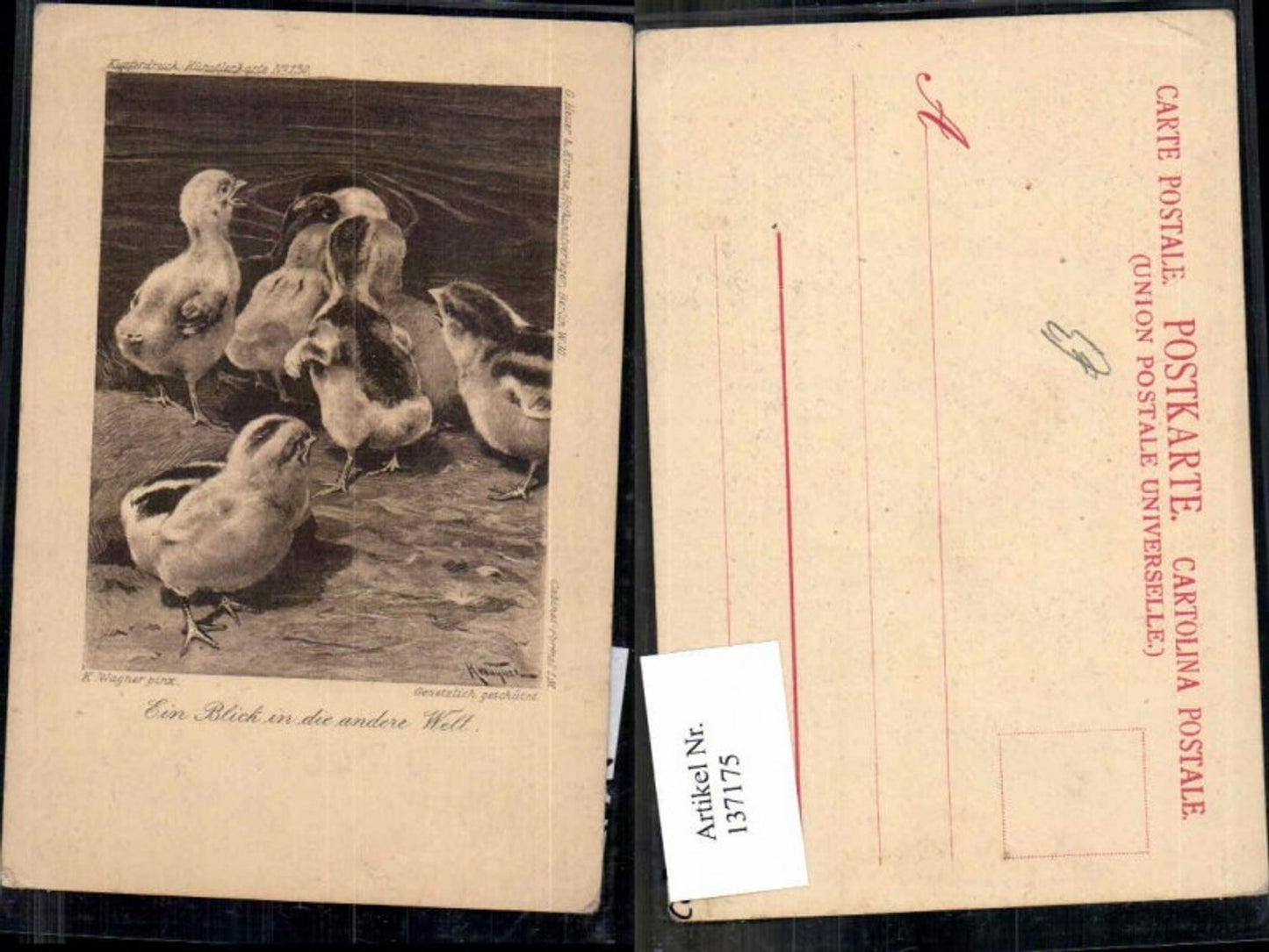 137175, K. Wagner Ducklings