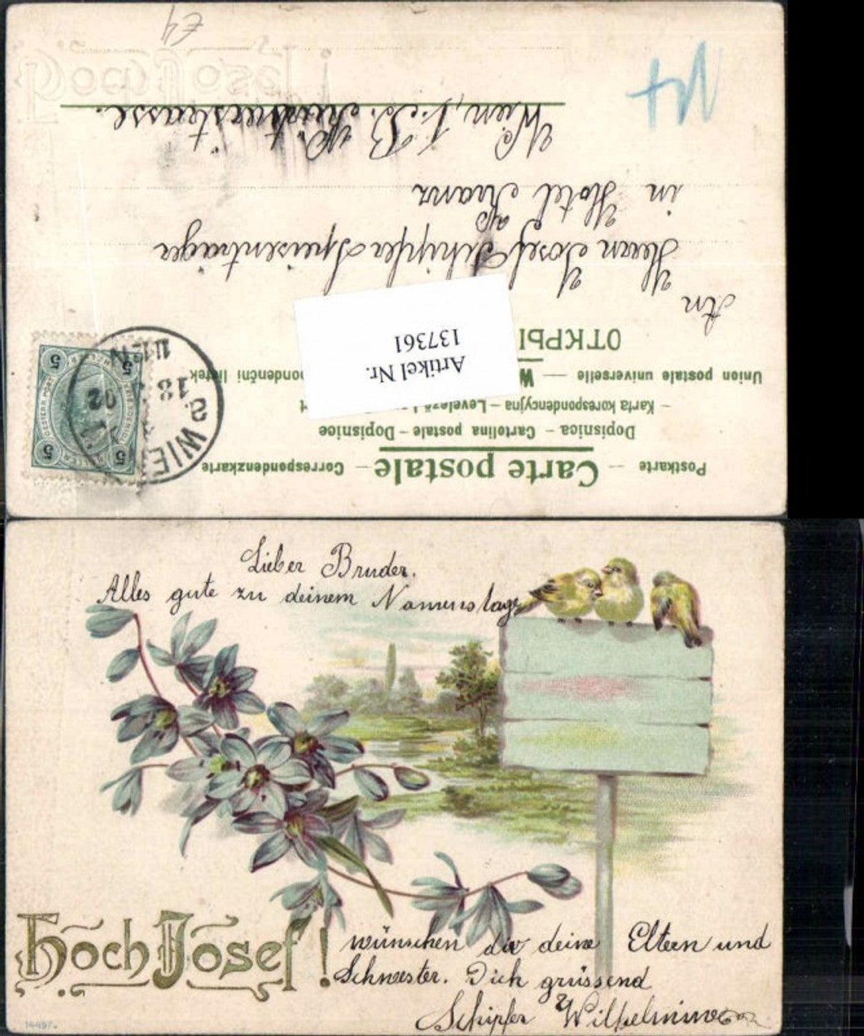 137361,Tolle Litho Hoch Josef Küken Vogel Vögel Blumen 1900