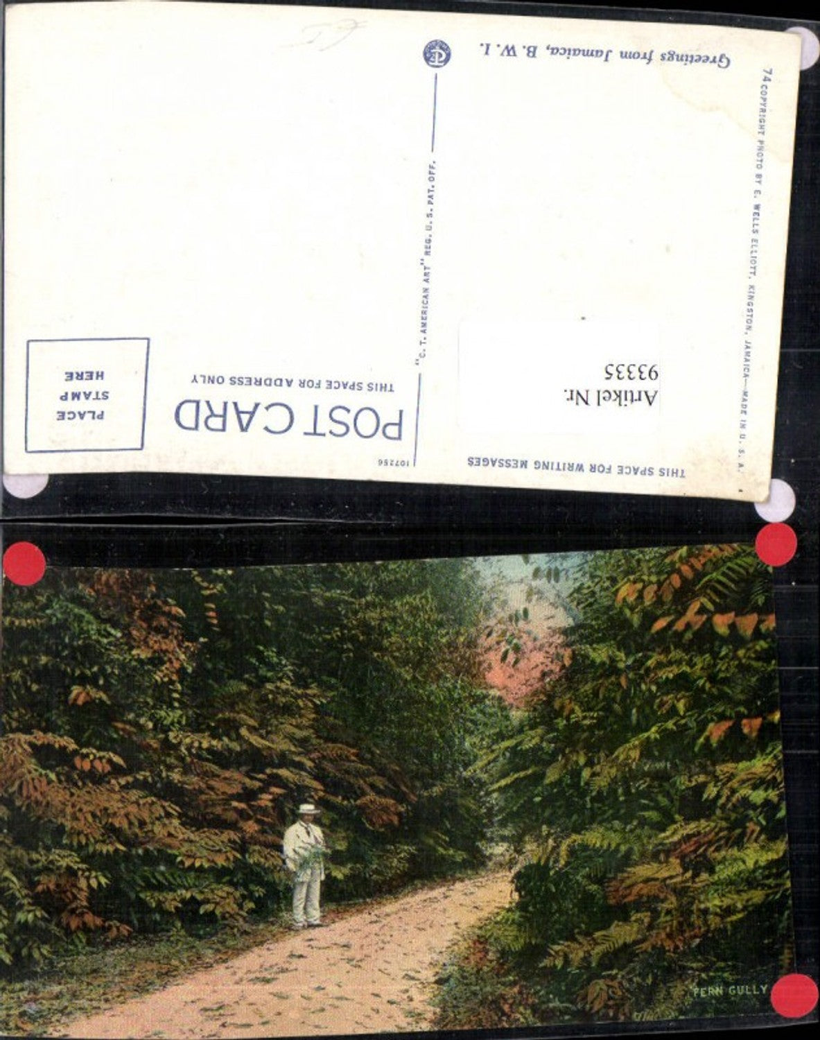 93335,Jamaica Fern Gully