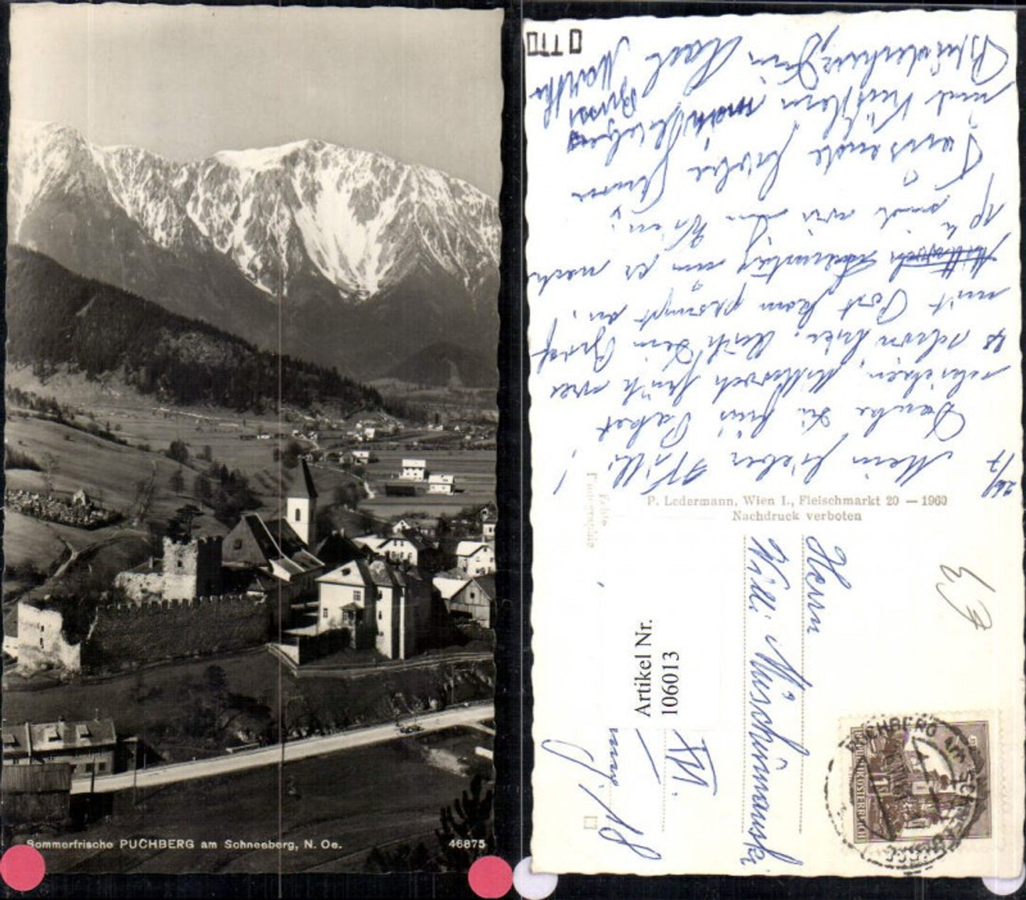 106013,Sommerfrische Puchberg am Schneeberg Ortsansicht