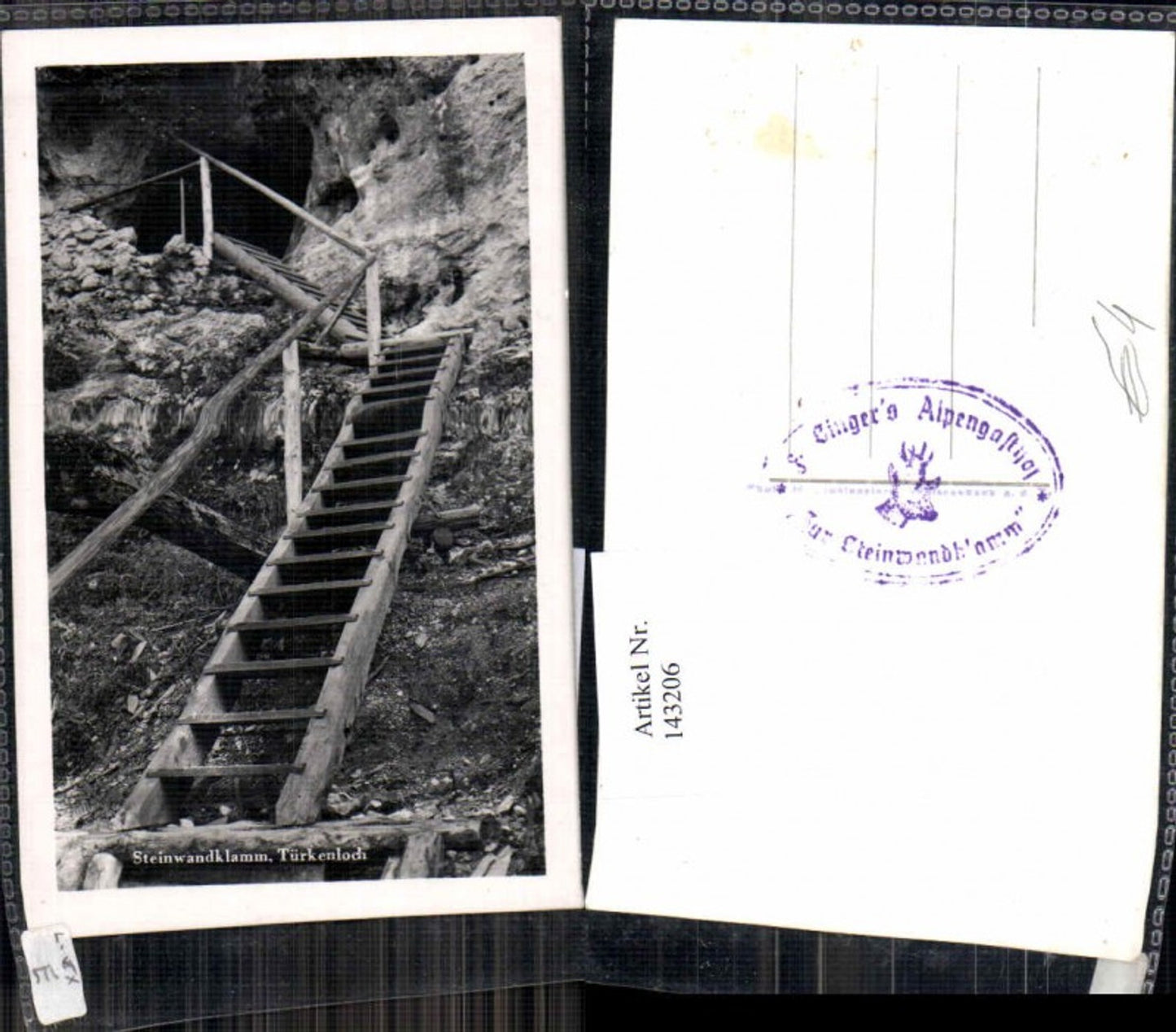 143206,Steinwandklamm Türkenloch Furth Weissenbach a.d. Triesting