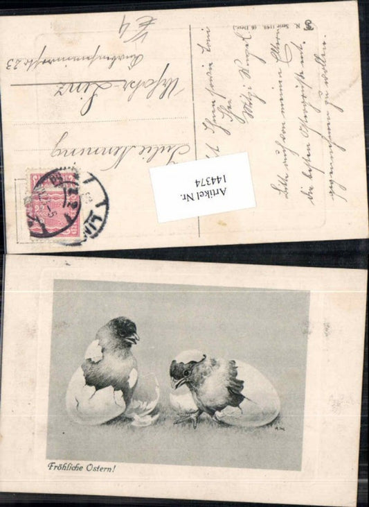 144374,Ostern Küken Ostereier schlüpfen