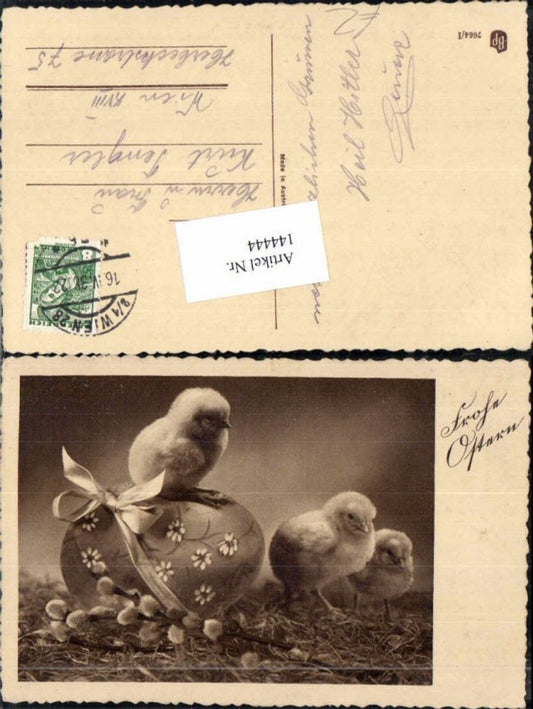 144444, Easter chick Easter egg