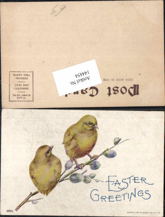 144454, Easter chicks pussy willows