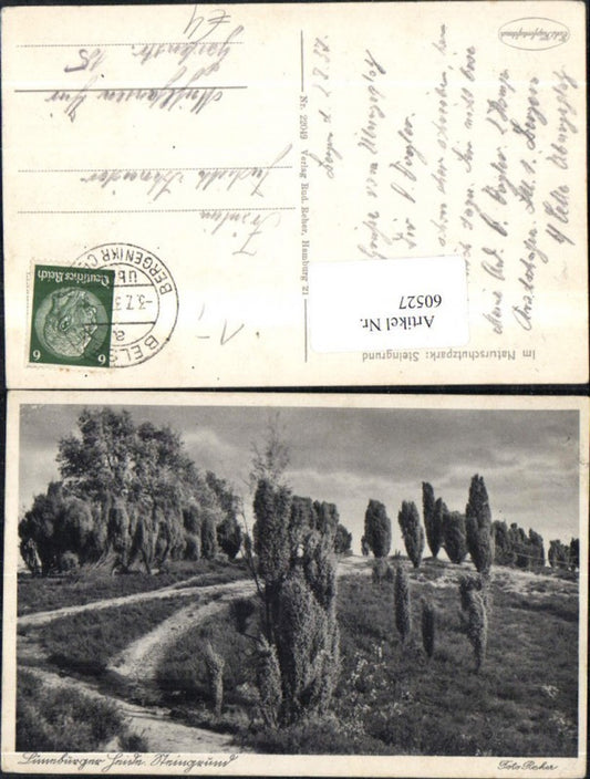 60527,Lüneburger Heide Im Naturschutzpark Steingrund 1937