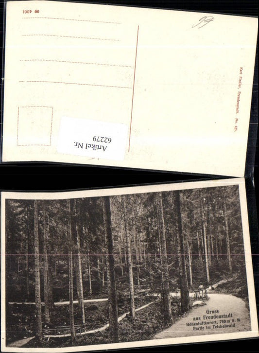 62279, Greetings from Freudenstadt, a health resort in the Teichelwald forest