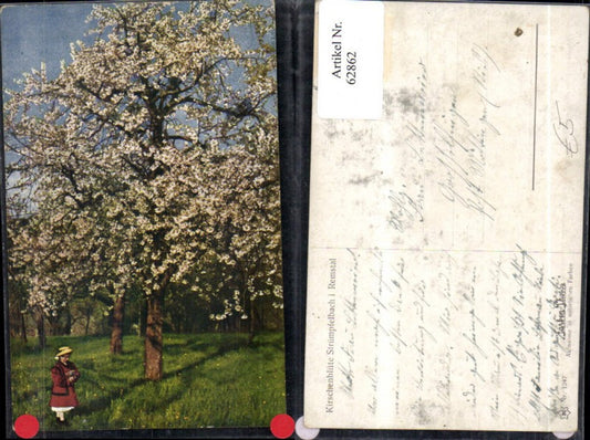 62862, Cherry blossom Strümpfelbach in the Remstal valley, detailed view of a tree with a girl
