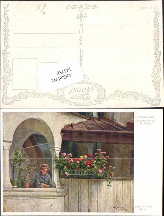 145788,Josef Straka Nesthäckchen