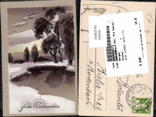 145916, Christmas Trees