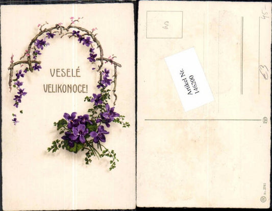 146200,Tolle AK Litho BLumen
