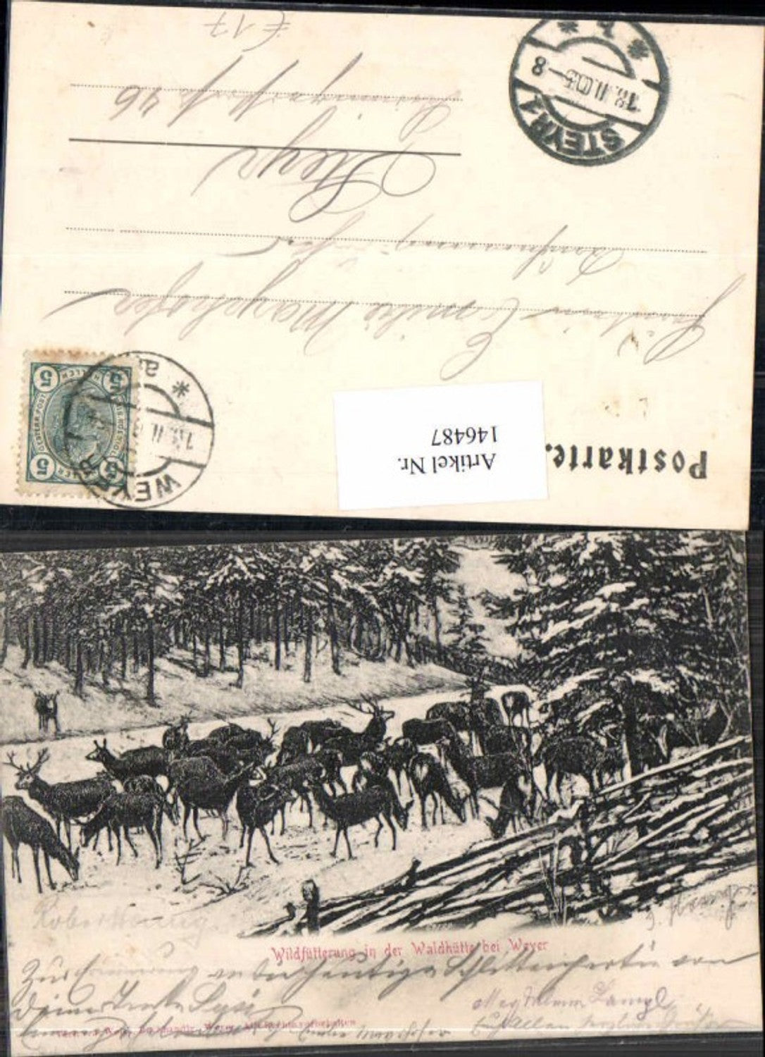 146487,Wildfütterung in der Waldhütte bei Weyer