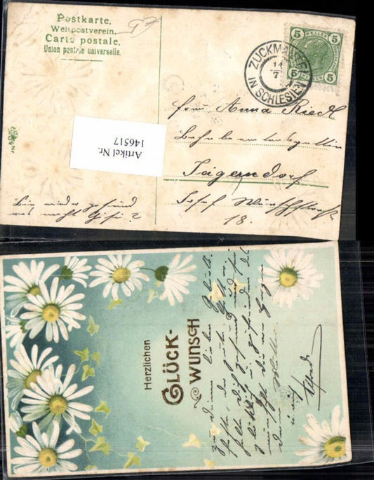 146517, Lithograph embossing postcard, flowers, daisies, 1900