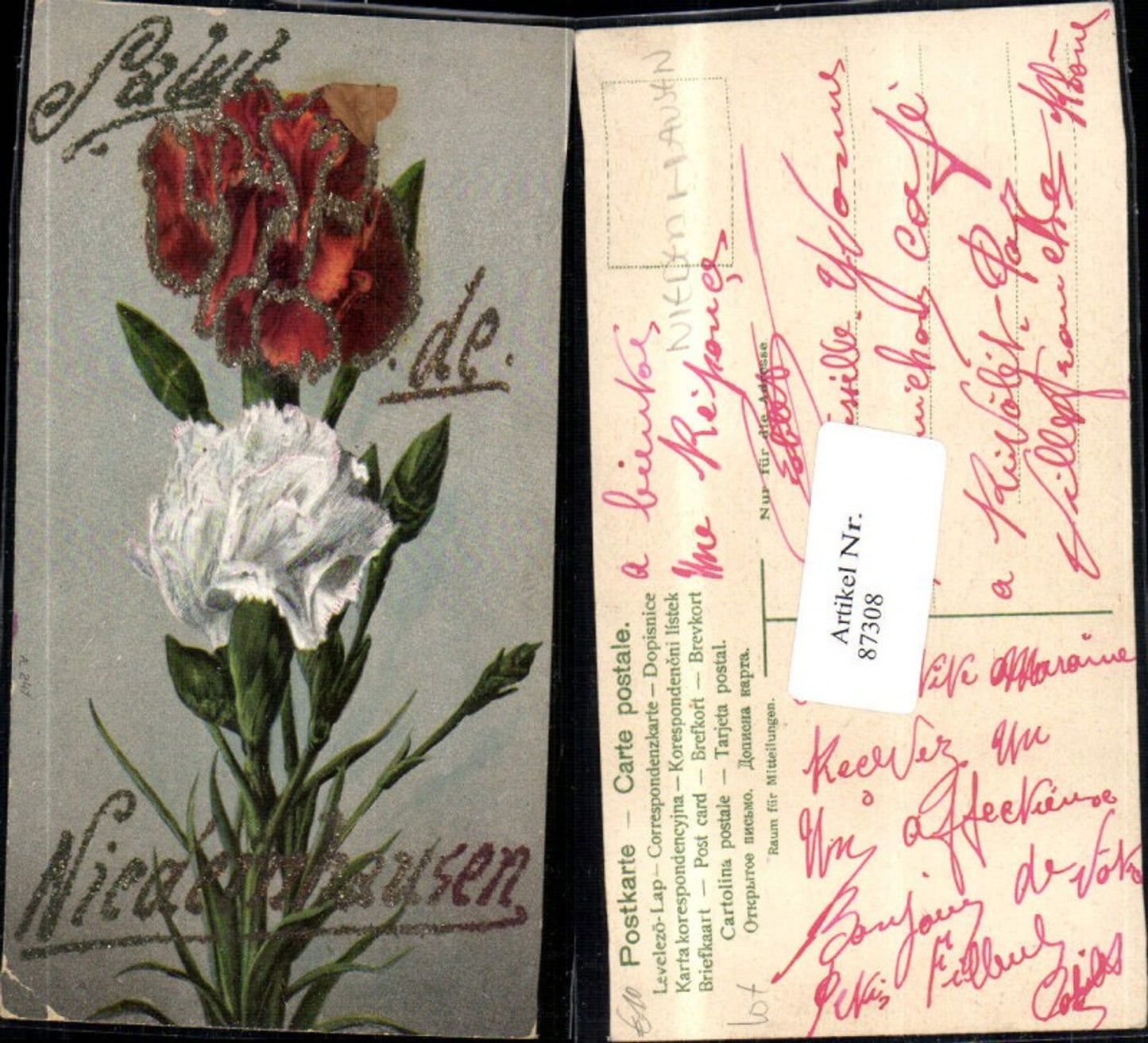 87308,Salut de Niedernhausen Blume Blumen Nelken