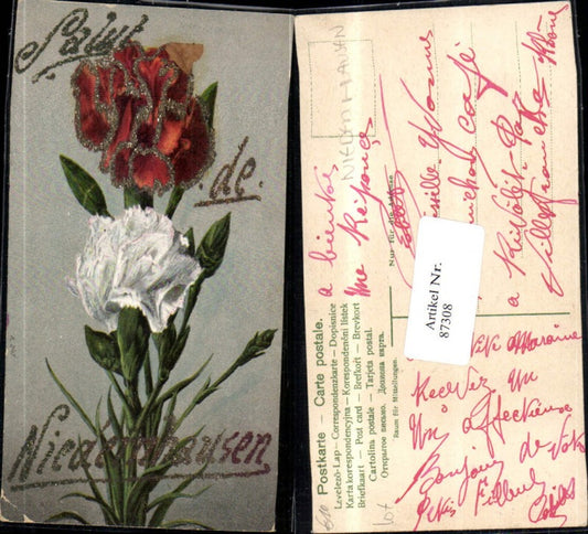 87308,Salut de Niedernhausen Blume Blumen Nelken