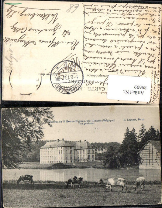 89609,Tongres Chateau de´S Hoeren Elderen Ansicht m. Kühen 1908