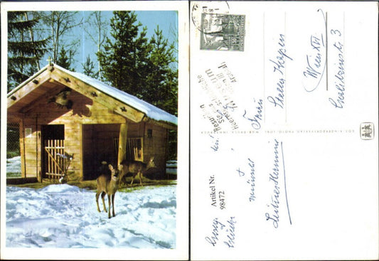 98472,SOS Kinderdorf Futterkrippe Rehe Winter