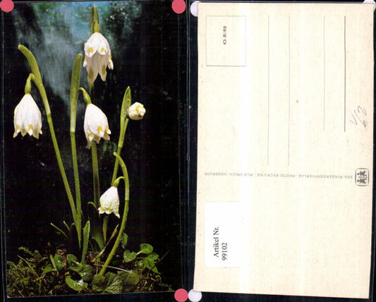 99102,SOS Kinderdorf O 8/69 Frühlingsboten