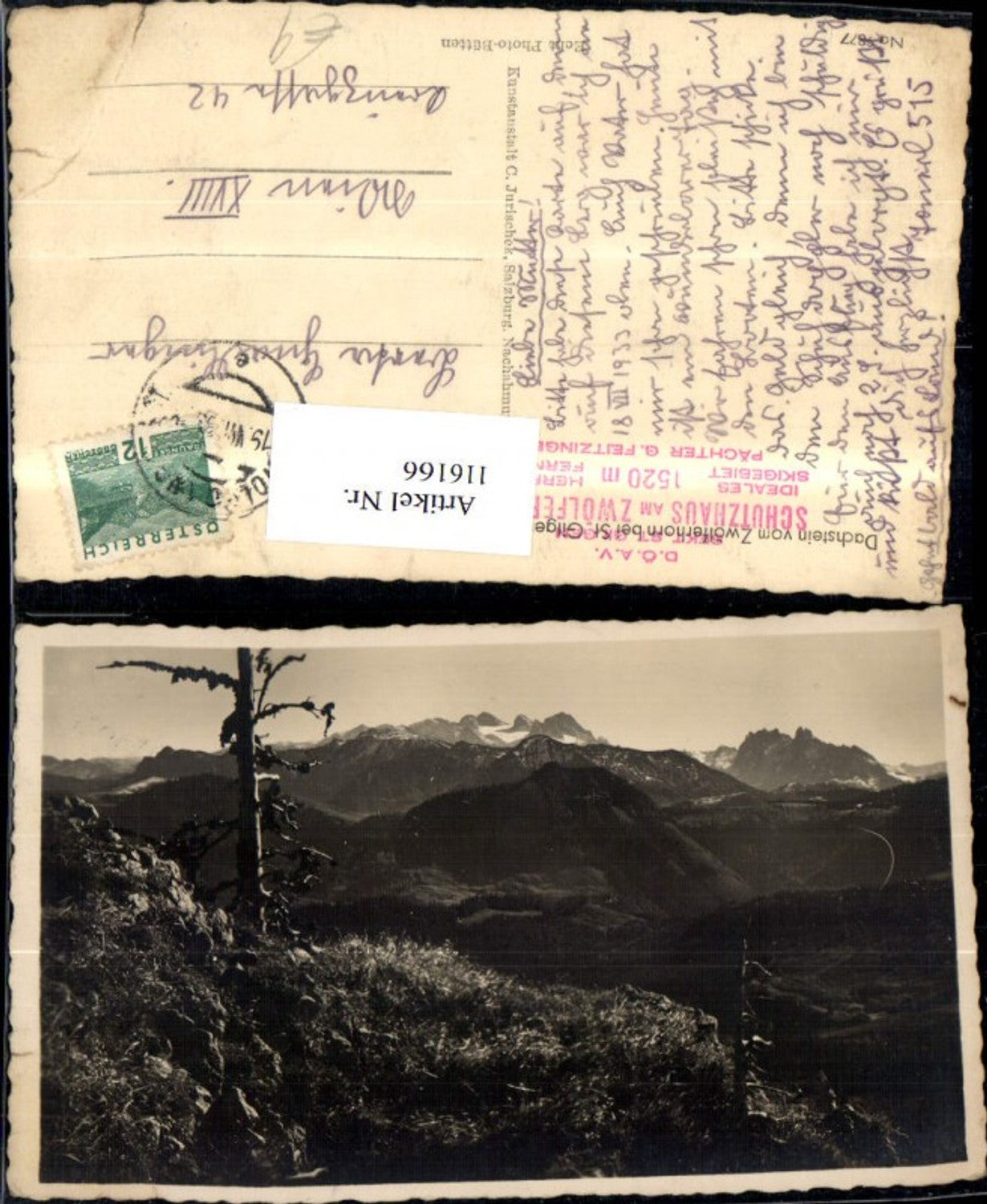 116166,Dachstein v. Zwölferhorn b. St Gilgen 1933