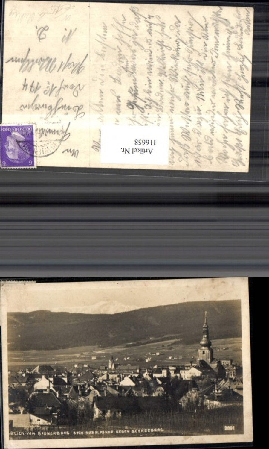 116658,Blick v. Badnerberg b. Rudolfshof geg. Schneeberg b. Puchberg