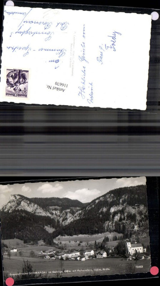 116670,Schwarzau i. Gebirge Sommerfrische m. Falkenstein
