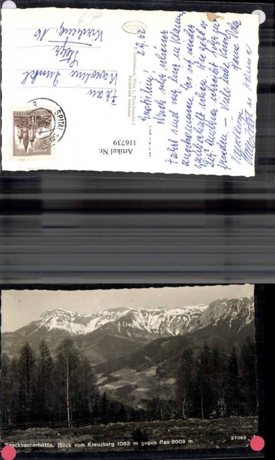 116739,Speckbacherhütte Blick v. Kreuzberg geg. Rax 1962