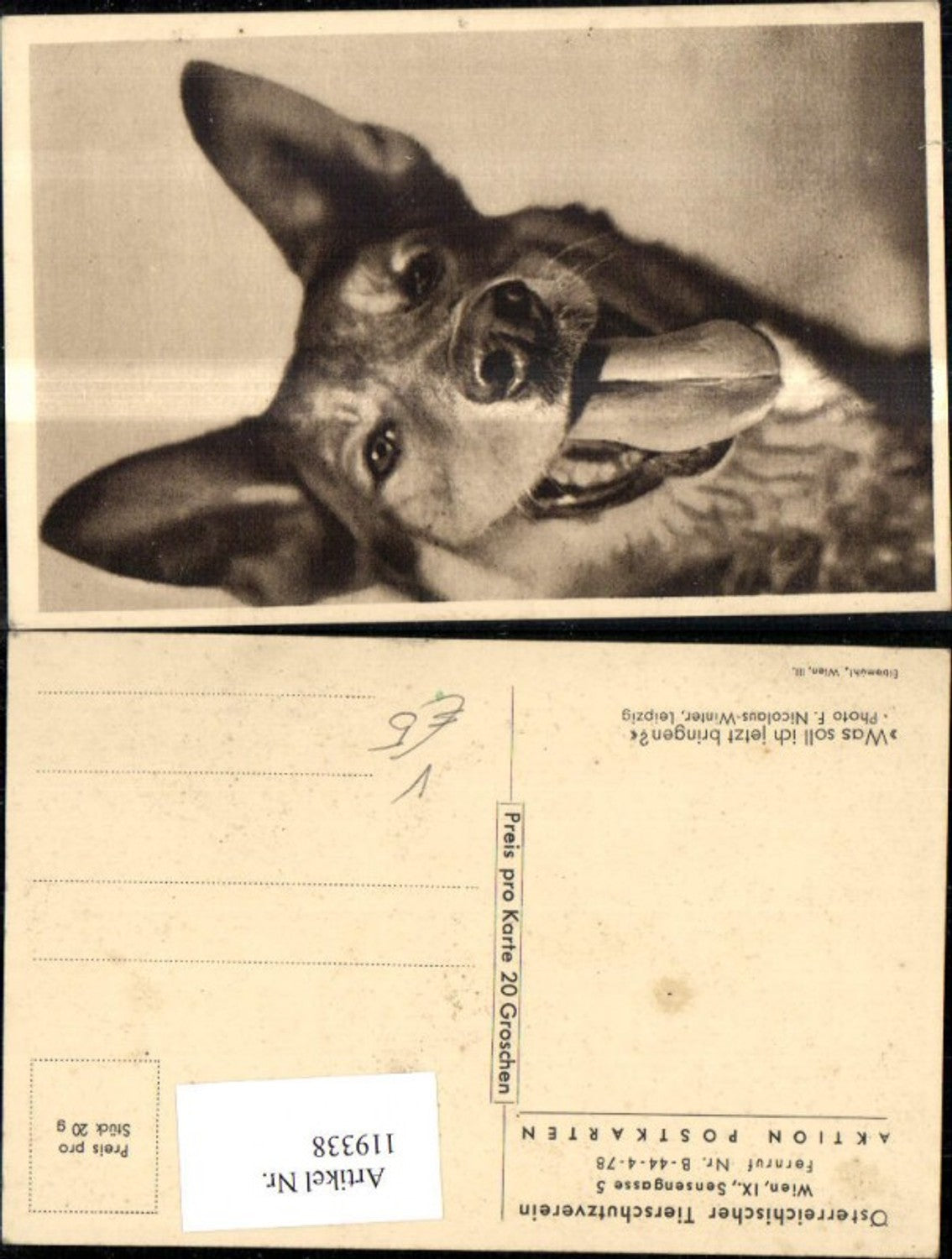 119338,Österreichischer Tierschutzverein Was soll ich jetzt bringen? Schäferhund