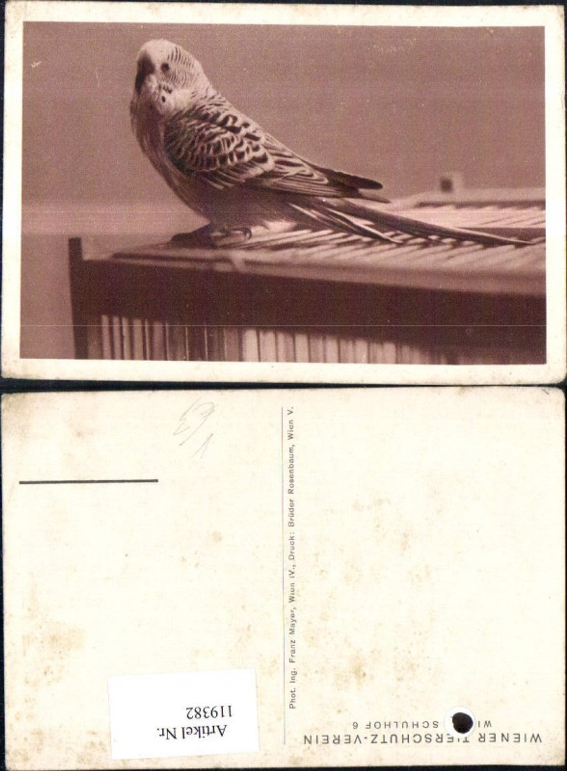 119382,Österreichischer Tierschutzverein Vogel