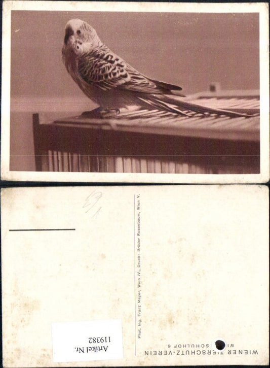 119382,Österreichischer Tierschutzverein Vogel