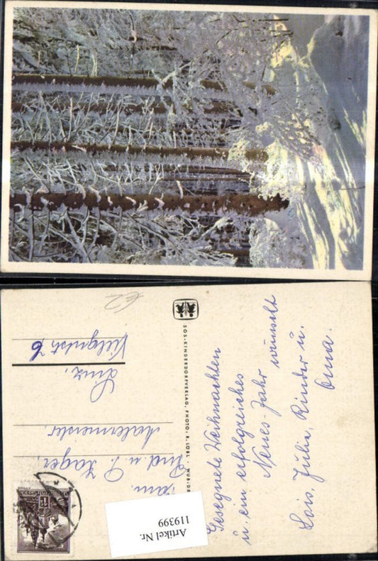 119399,SOS Kinderdorf Winterlandschaft Wald