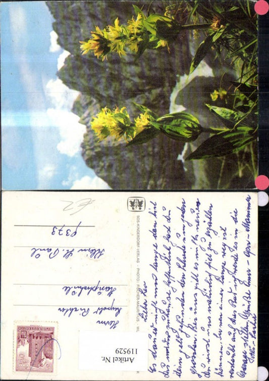 119529,SOS Kinderdorf Alpenblume v. Bergkulisse
