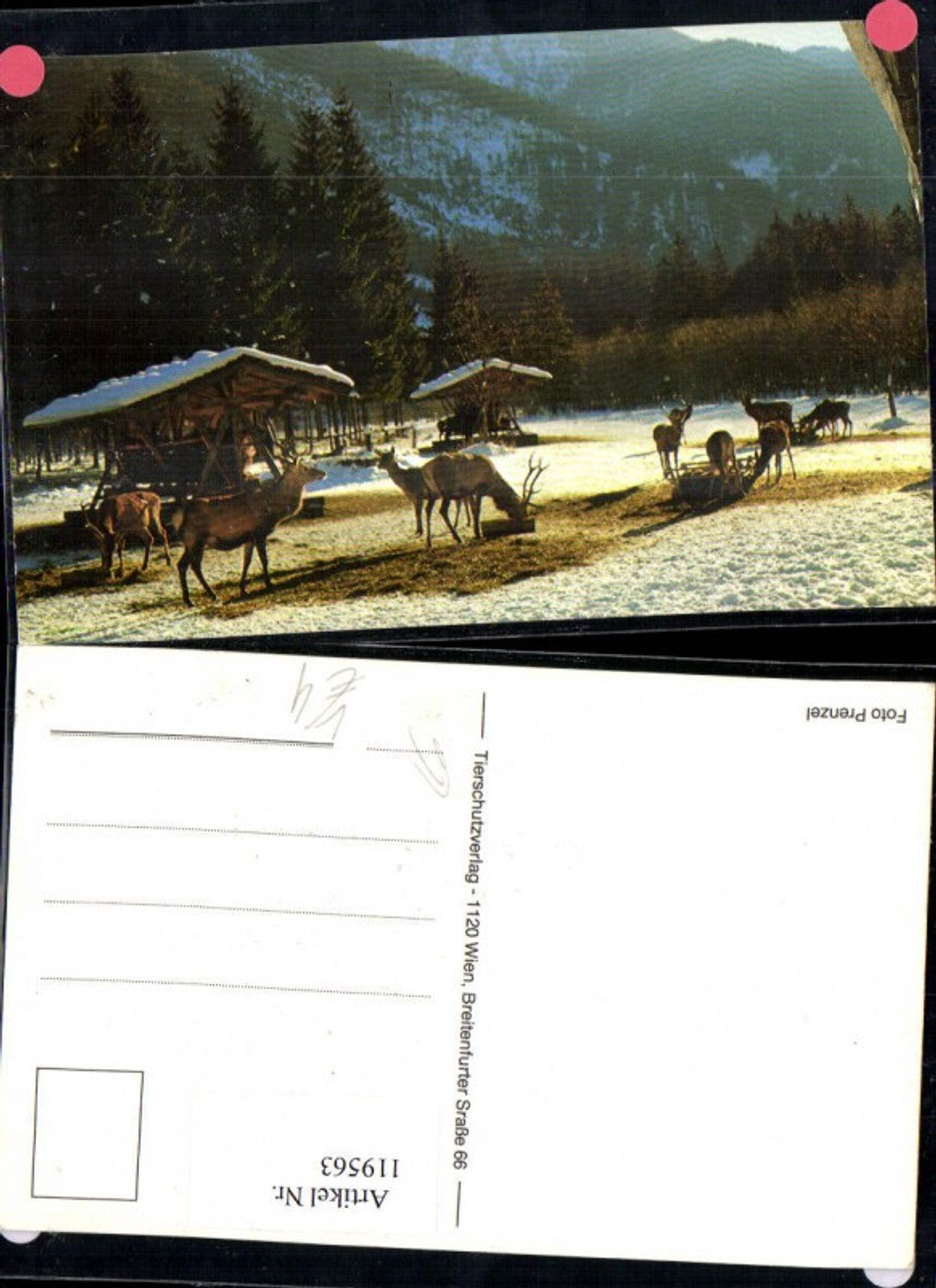 119563,Österreichischer Tierschutzverein Wildgehege Winter