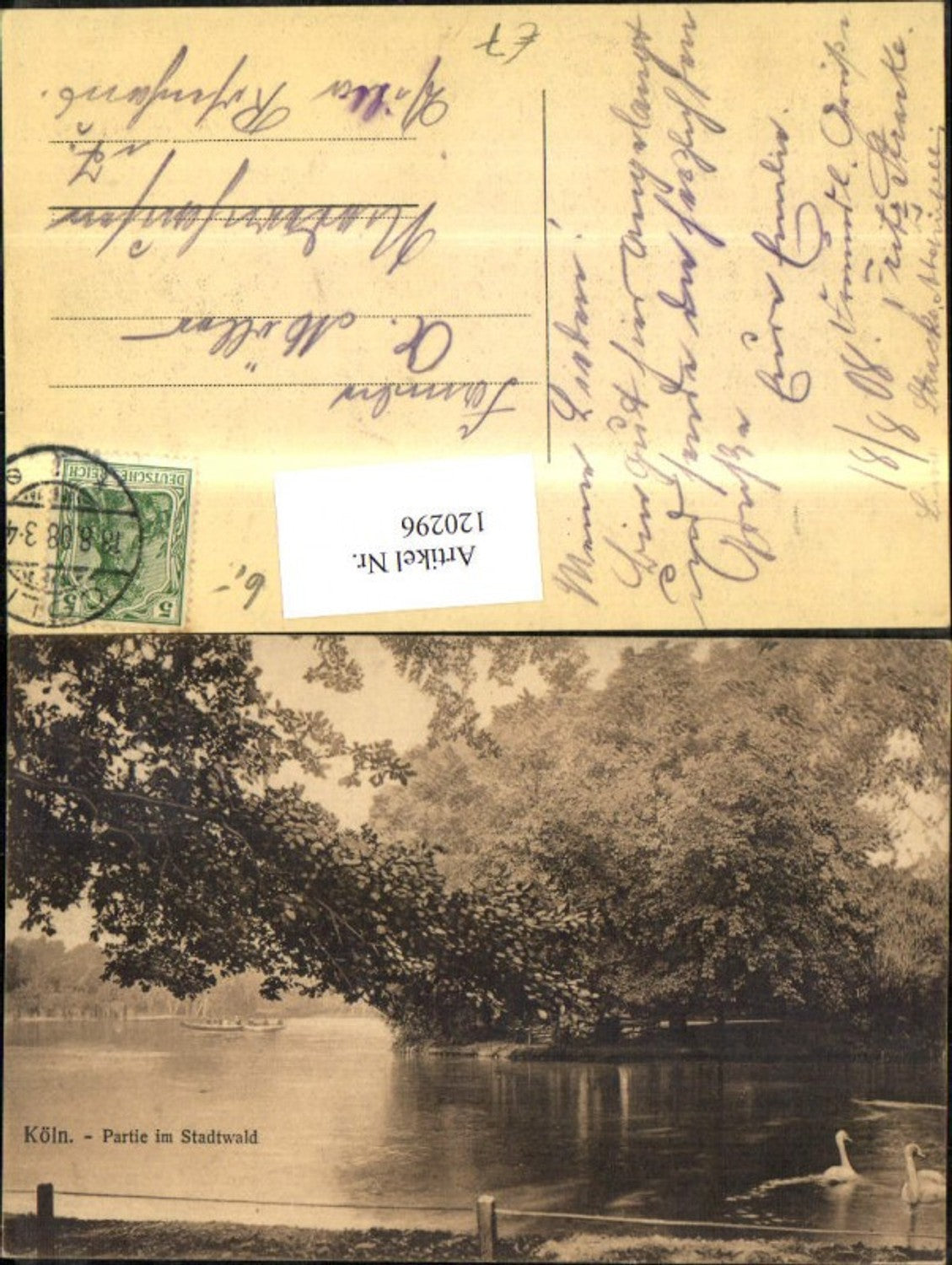 120296,Köln Partie im Stadtwald Schwäne 1908