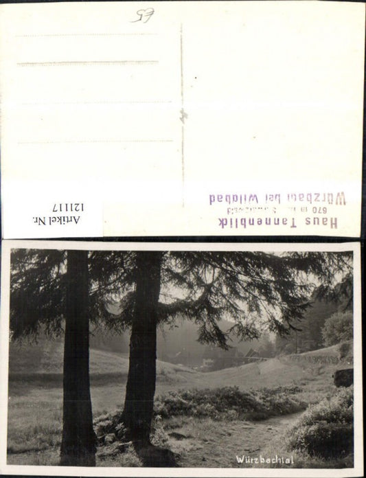 121117, Würzbachtal near Wildbad, view of the path with the Tannenblick house
