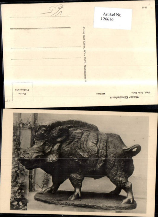 126616,Wiener Künstlerhaus 7838 Wildsau