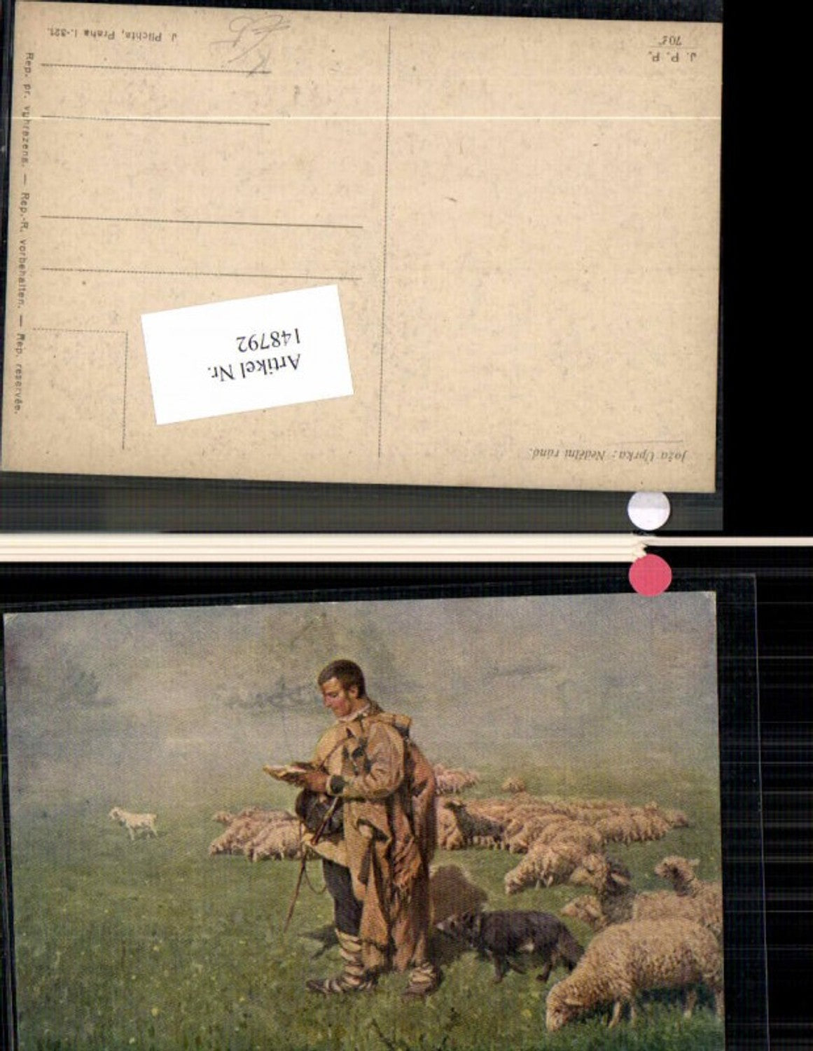 148792,Joza Uprka Nedelni rano Hirte Schafe Schaf