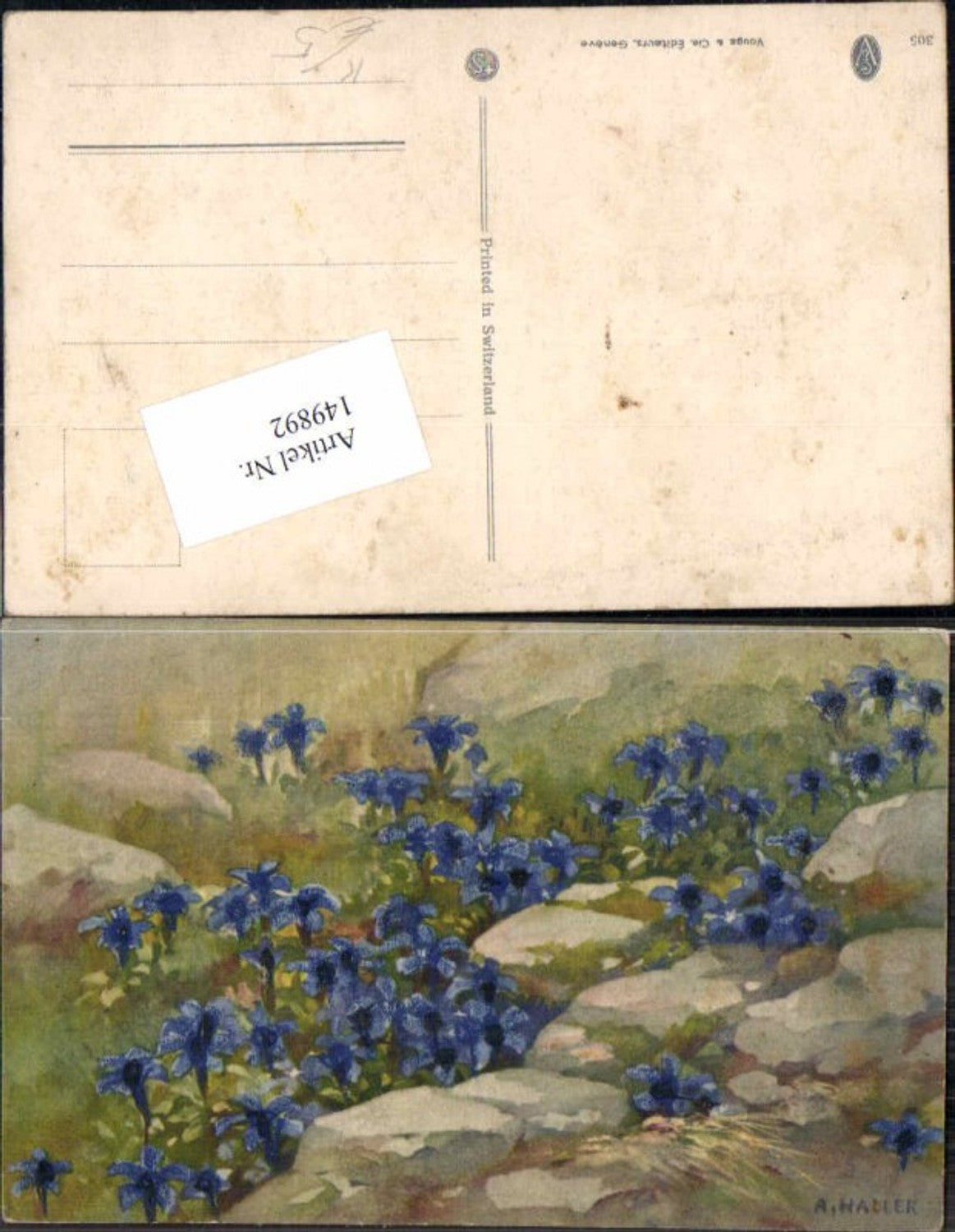 149892, Photochromy A. Haller Flowers