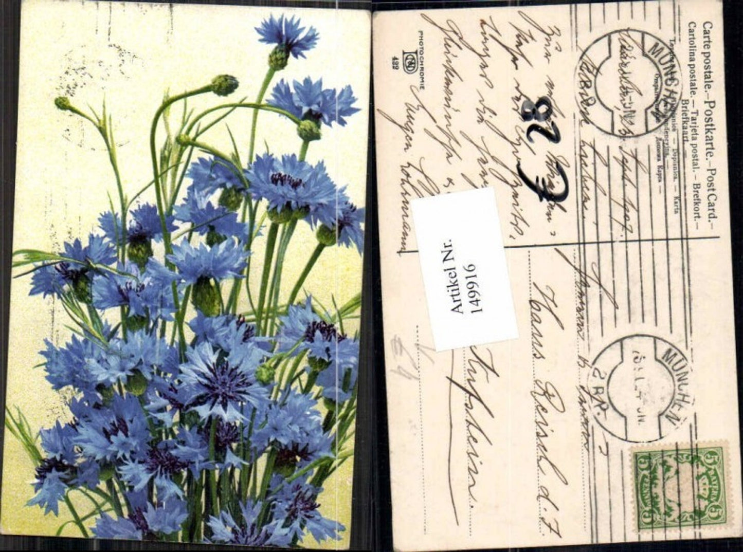 149916,Photochromie Nenke Ostermaier 422 Blumen