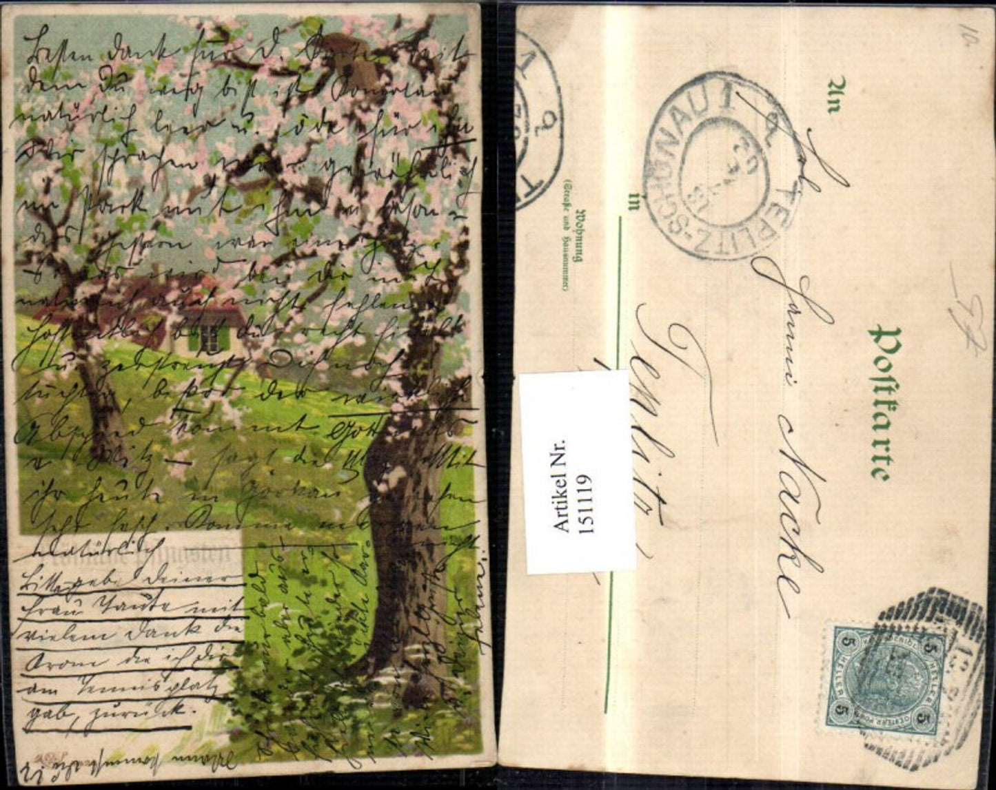 151119, Pentecost House Flower Meadow Tree Blossom