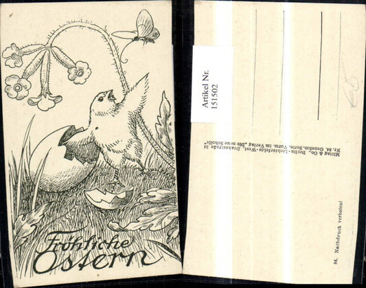 151502, Easter pencil drawing of chicks with Easter egg, egg, flower, butterfly