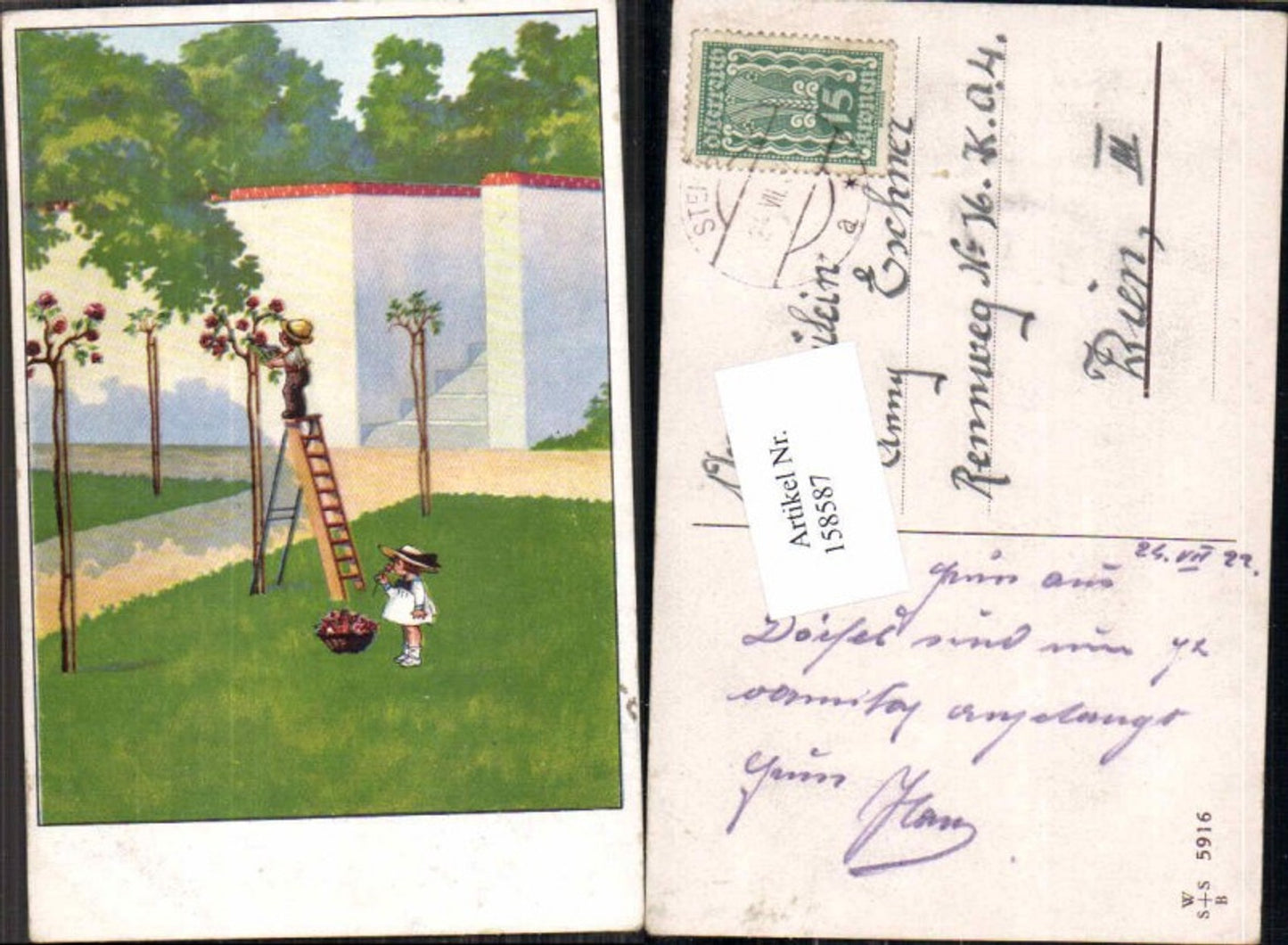 158587, Sweet children, young rose bushes, ladder